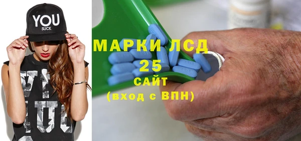 гашик Верея