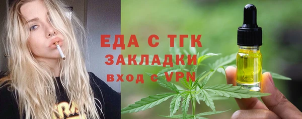 гашик Верея