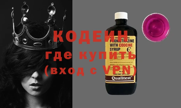гашик Верея