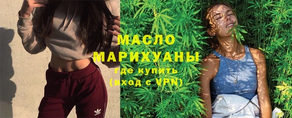 гашик Верея