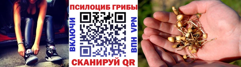 Псилоцибиновые грибы мицелий  Гаврилов Посад 